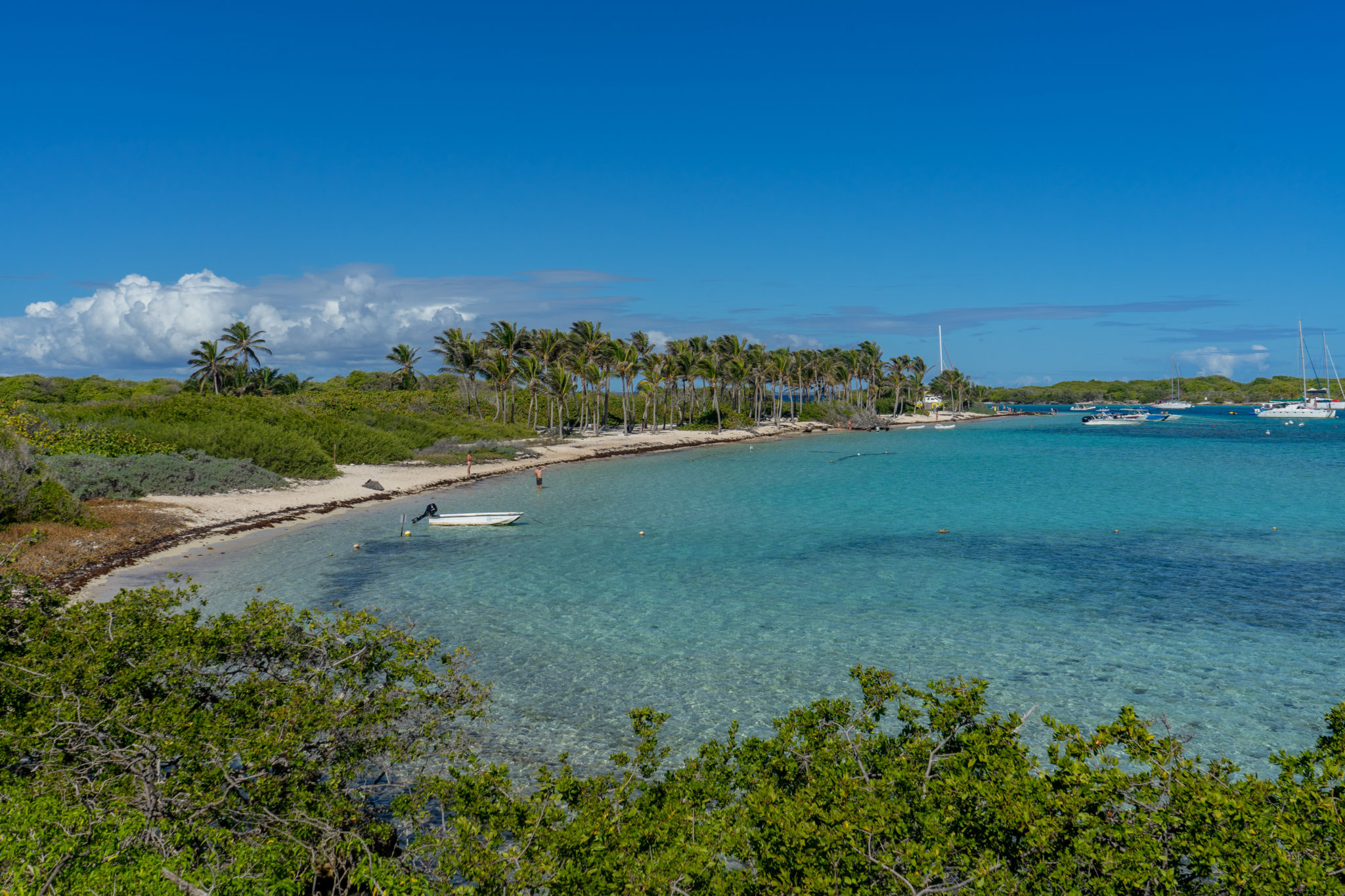 DCIM100GOPROGOPR1162.JPG
