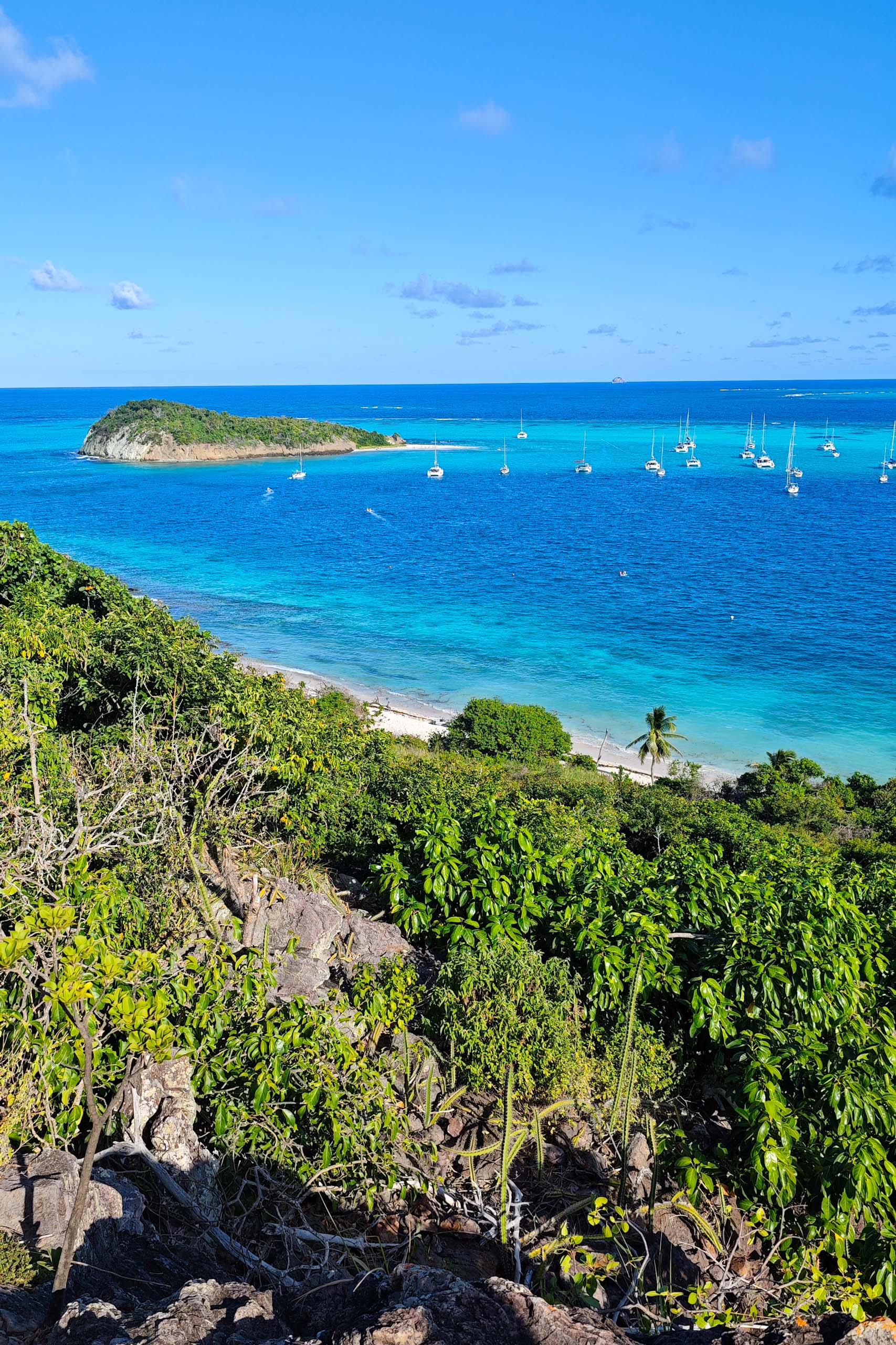 GRENADINES – Croisière en catamaran dans les Caraïbes - GlobeSailor - Les Pieds dans le Vide - Camille Blanchet - IMG_20250112_153719