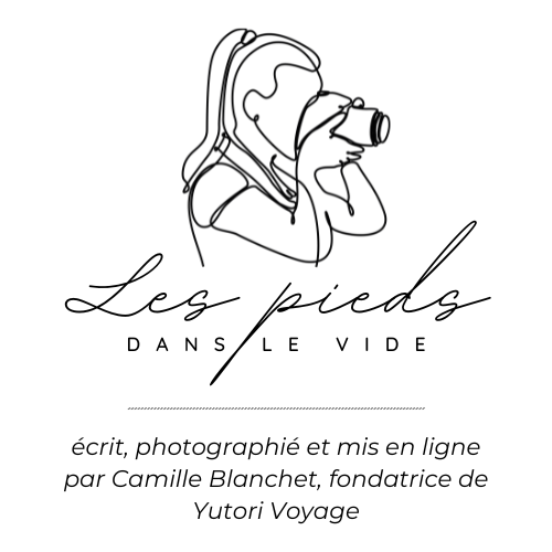 Logo noir - Les Pieds dans le Vide (2)